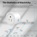 Smart WiFi/Zigbee Plug 20A - App & Voice Control